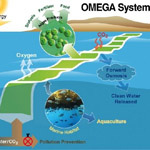 НАСА предлагает новый способ производства биотоплива: пресноводные водоросли в морской воде