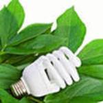 Здоровый выбор: энергосберегающие лампы