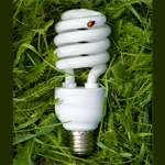 Энергосберегающие лампы. Мифы и реальность