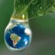 В Липецкой области объявлен конкурс на эмблему Года охраны окружающей среды