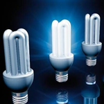 Государственное стимулирование использования энергосберегающих ламп