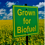 Биотопливо: что и зачем